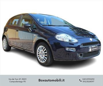 Fiat Punto 1.2 8v 5 Porte Pop, Anno 2012, KM 75000 - foto principal