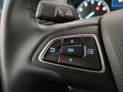 Ford Fiesta 1.0 EcoBoost 100 CV 5 porte Titanium, Anno 2017, KM - foto principal