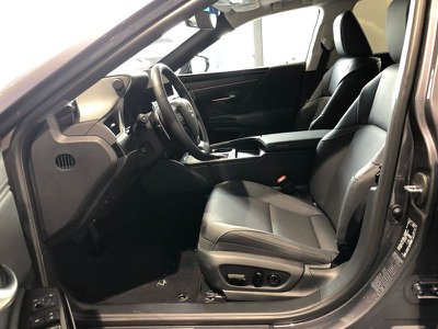 LEXUS NX 300 Hybrid 4WD Executive (rif. 16567543), Anno 2018, KM - foto principal